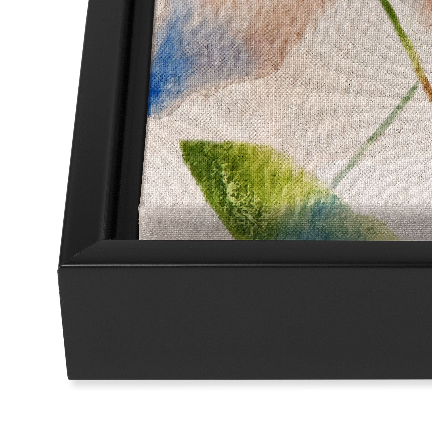 Peach Clematis Framed Canvas Print Gallery Image 3