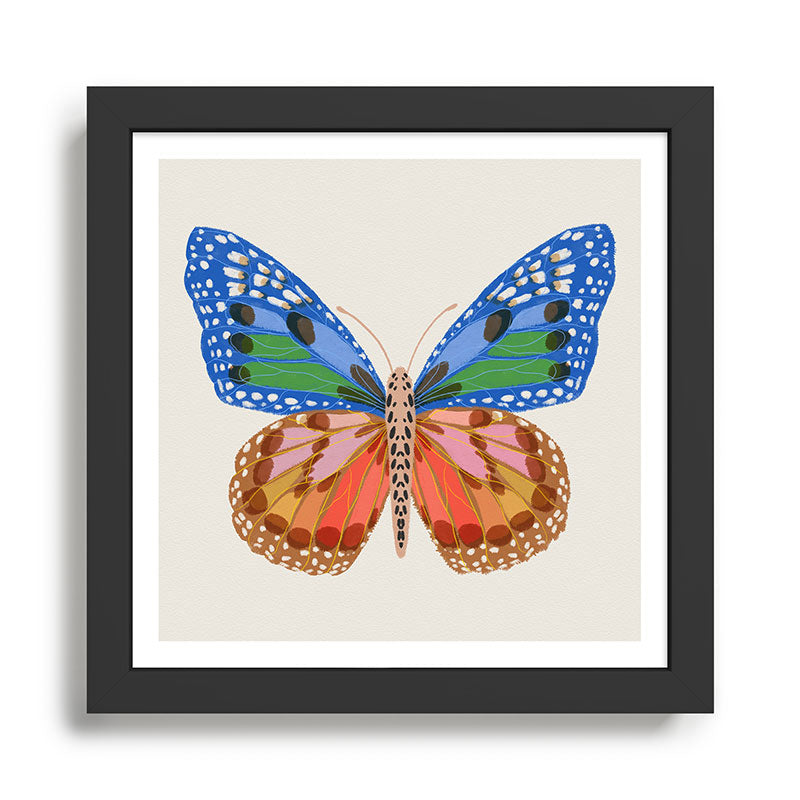 Rainbow Butterfly Framed Art Print Gallery Image 1