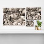 Sepia Seashells Canvas Print Gallery Image 3