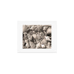 Sepia Seashells Art Print Gallery Image 1