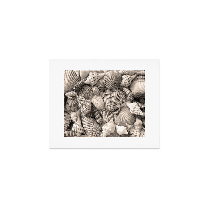 Sepia Seashells Art Print Gallery Image 1