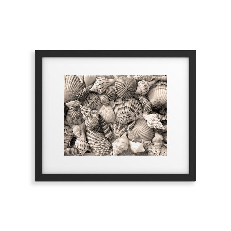 Sepia Seashells Framed Art Print Gallery Image 5