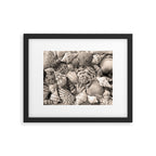 Sepia Seashells Framed Art Print Gallery Image 5
