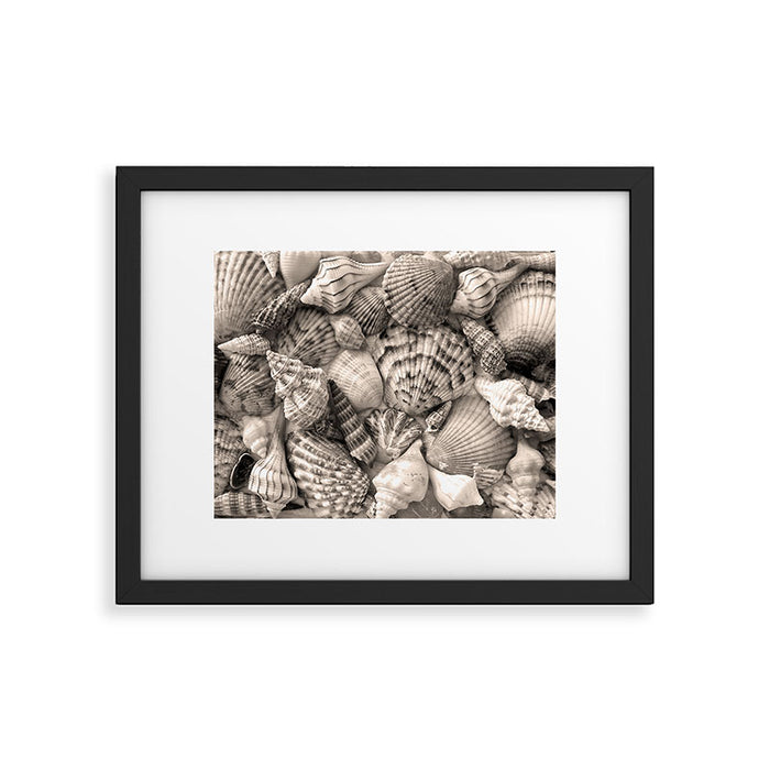 Sepia Seashells Framed Art Print Gallery Image 1
