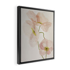 Silk Poppies Framed Canvas Print Gallery Image 2