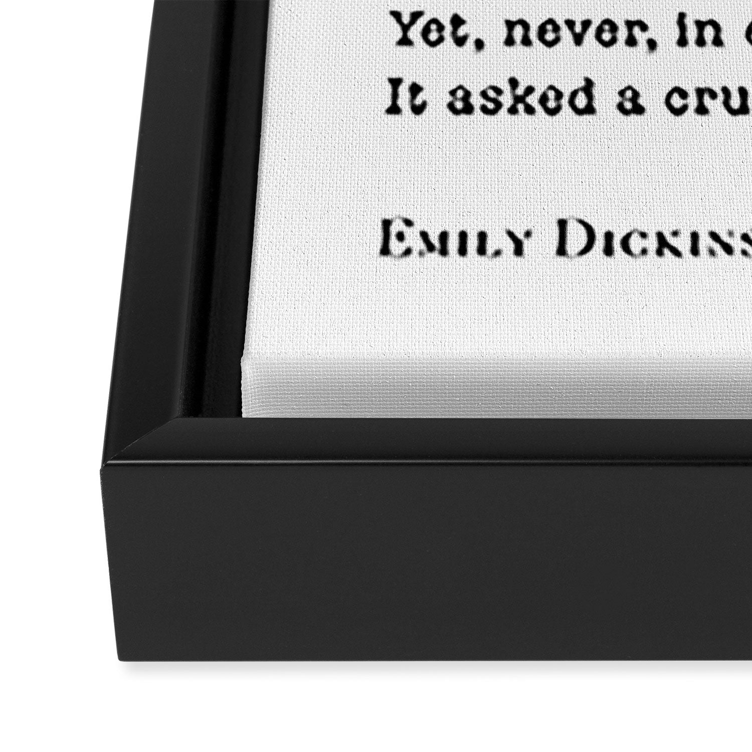 Emily Dickinson Hope is the thing with feathers  Framed Canvas Print Gallery Image 3