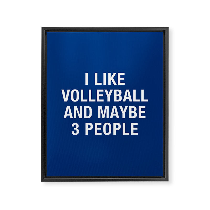 I LIKE VOLLEYBALL AND MAYBE 3 PEOPLE Framed Canvas Print Gallery Image 8