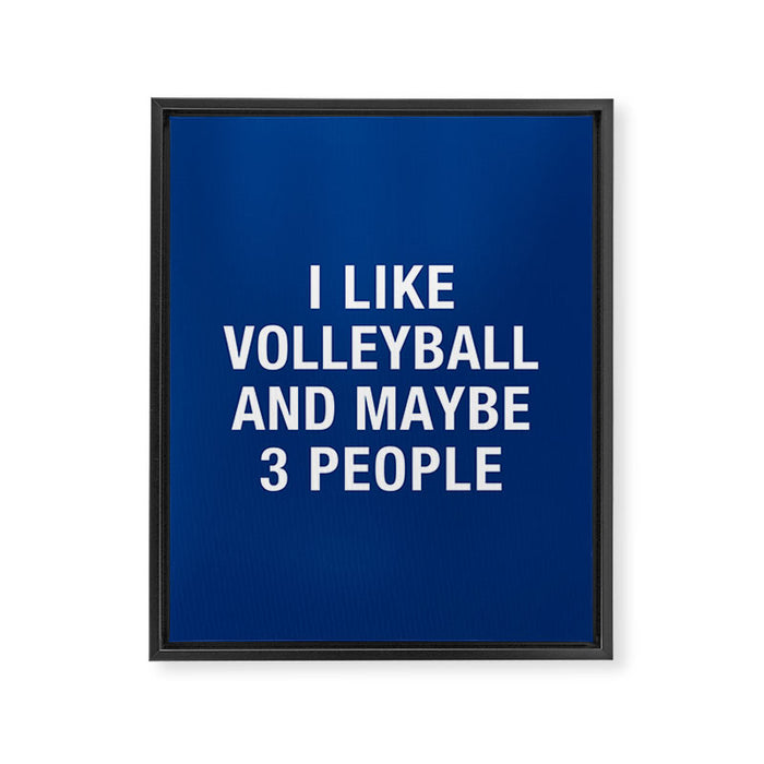 I LIKE VOLLEYBALL AND MAYBE 3 PEOPLE Framed Canvas Print Gallery Image 1