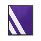 Northwestern Color Framed Canvas Print Gallery Image 8