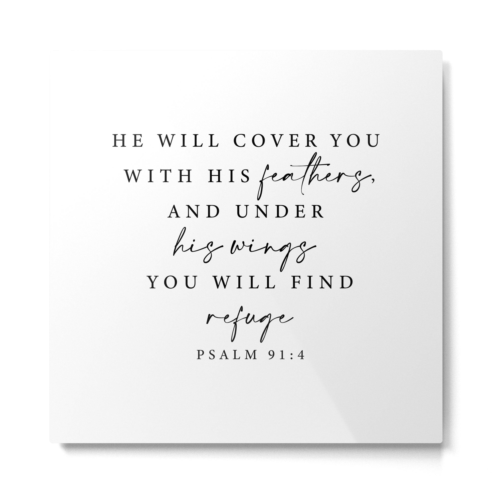 Psalm 91: 4 He will cover you with his feathers Metal Print Gallery Image 2