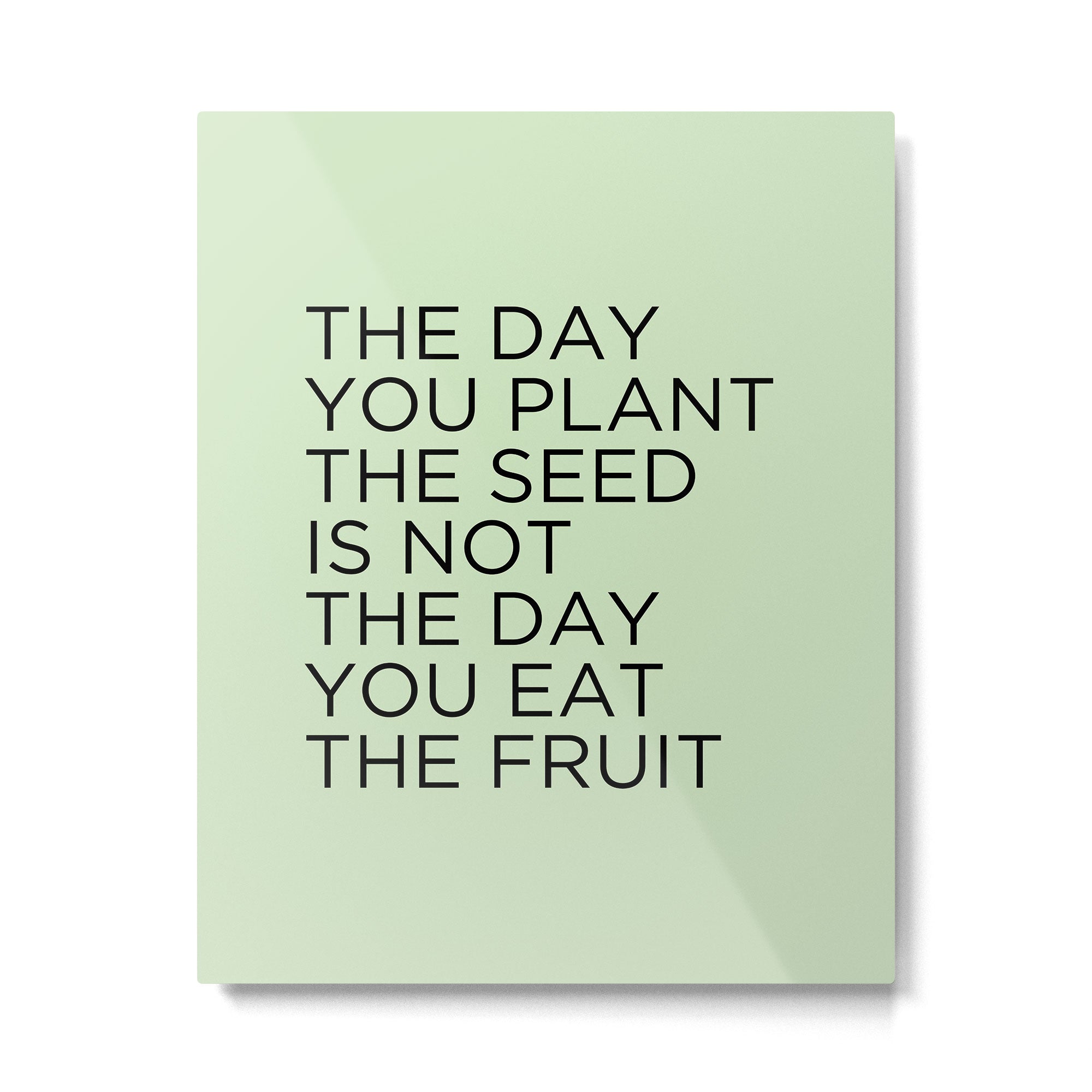 The day you plant the seed is not the day you eat the fruit Metal Print Gallery Image 6