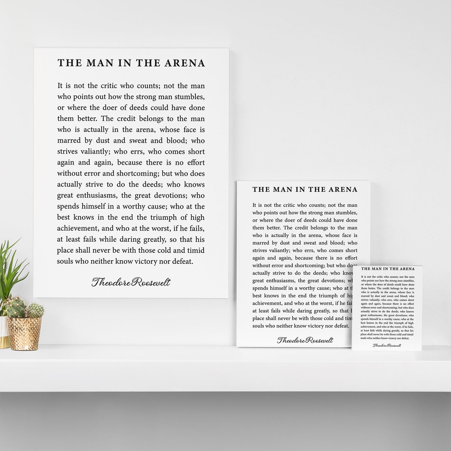 The Man In The Arena Canvas Print Gallery Image 3