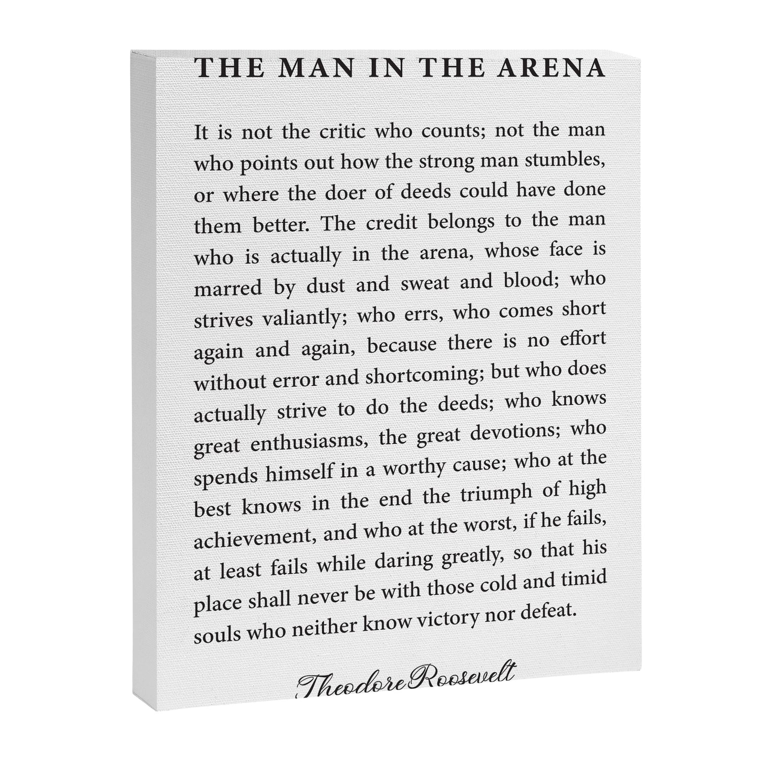 The Man In The Arena Canvas Print Gallery Image 3
