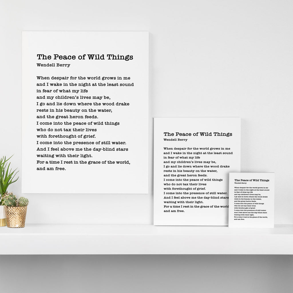 The Peace of Wild Things Canvas Print Gallery Image 3