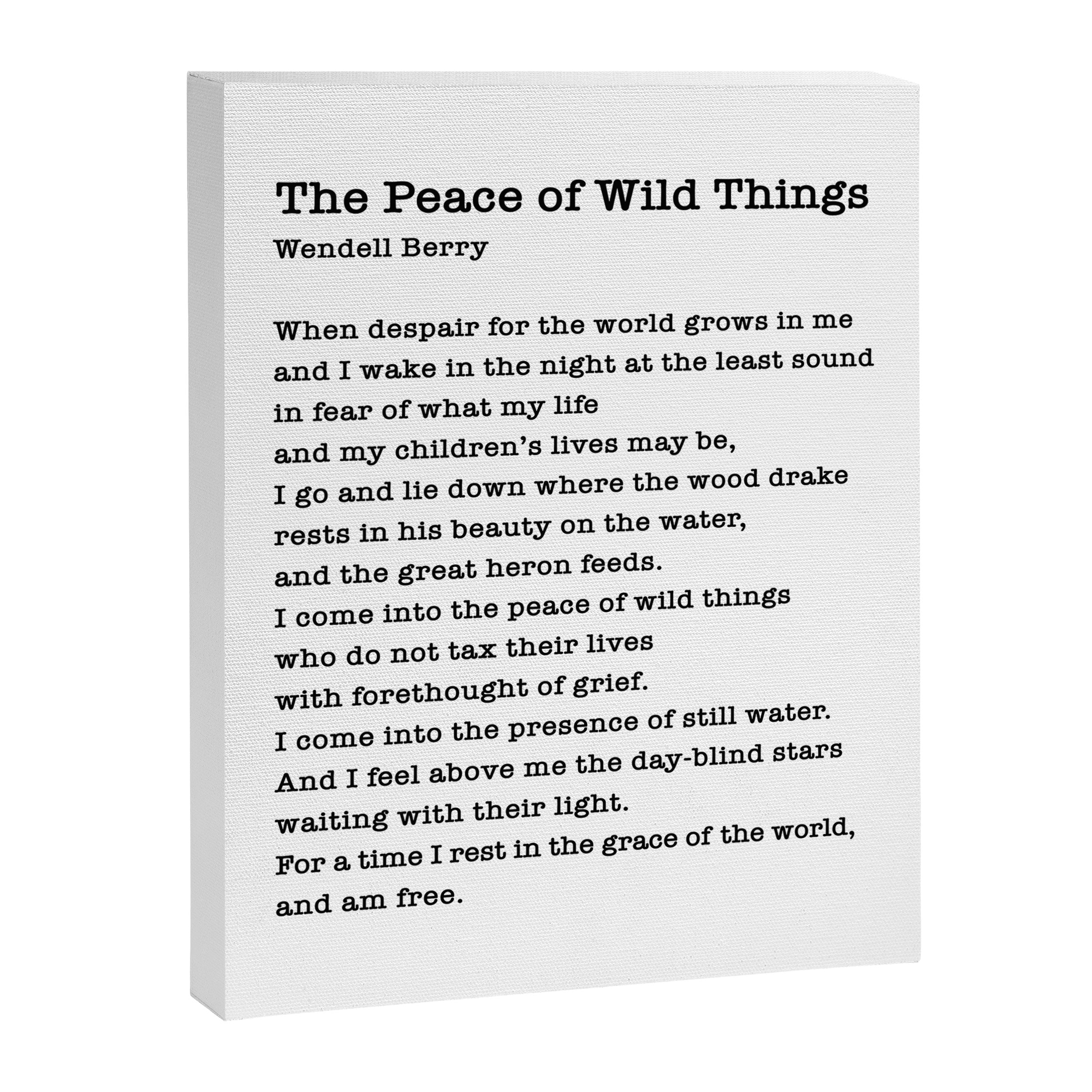 The Peace of Wild Things Canvas Print Gallery Image 8