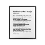 The Peace of Wild Things Framed Canvas Print Gallery Image 8