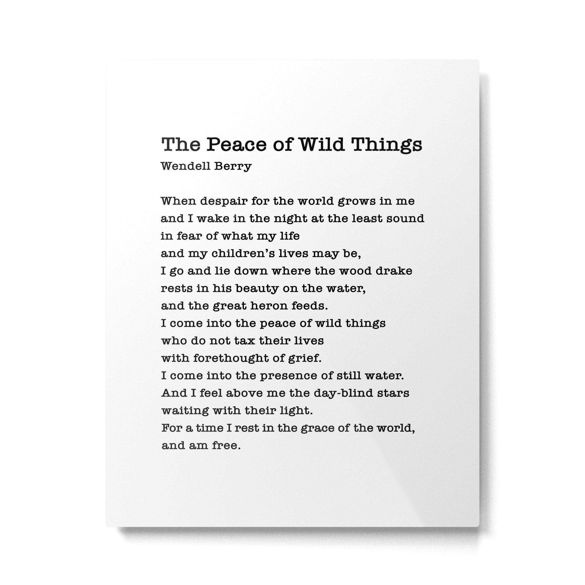 The Peace of Wild Things Metal Print Gallery Image 6