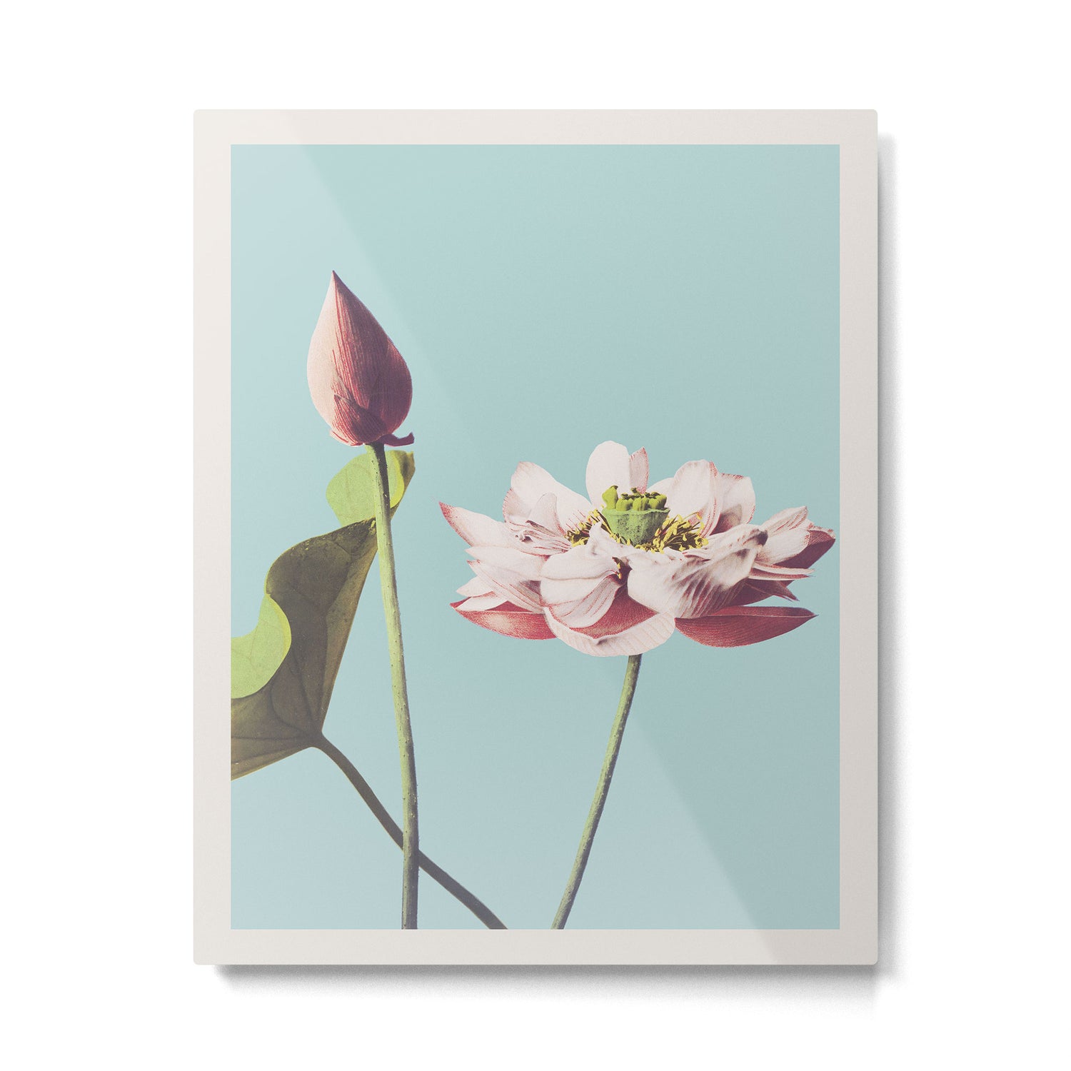 Lotus Flower Ogawa Kazumasa Japanese Floral Vintage Botanical Meiji Retro Bohemian Interior Design Metal Print Gallery Image 4