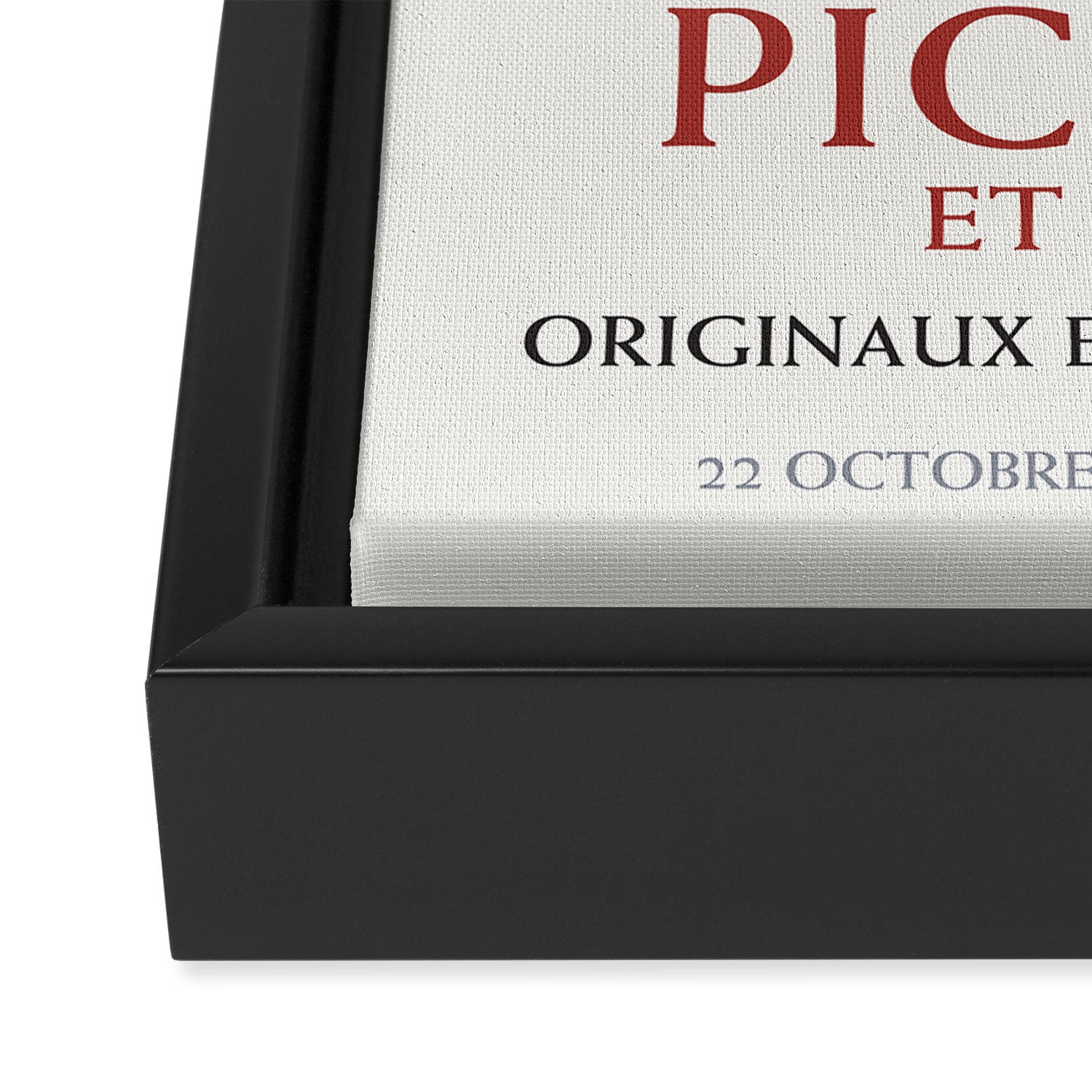 Pablo Picasso Dove Peace Symbol Art Exhibition Framed Canvas Print Gallery Image 3