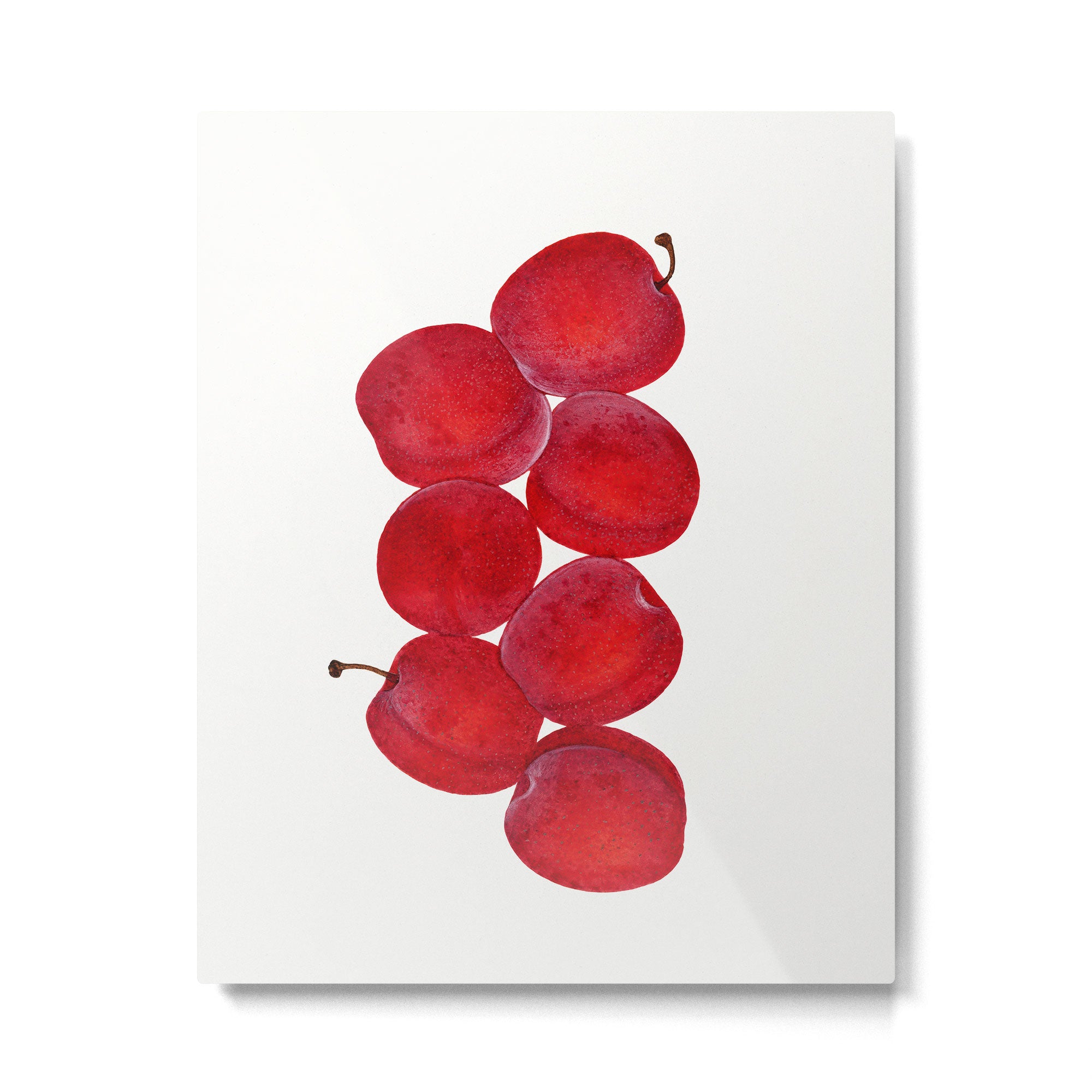 Vintage Plums Illustration Classic Botanical Art Antique Fruit Drawing Retro Botanical Print Decorat Metal Print Gallery Image 4