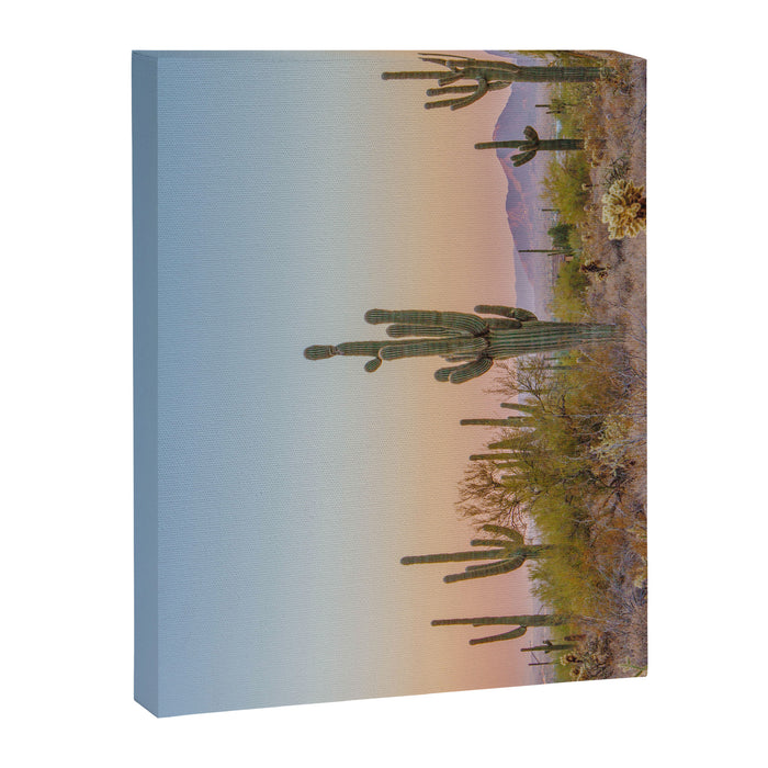 Desert / Scottsdale, Arizona Canvas Print Gallery Image 1
