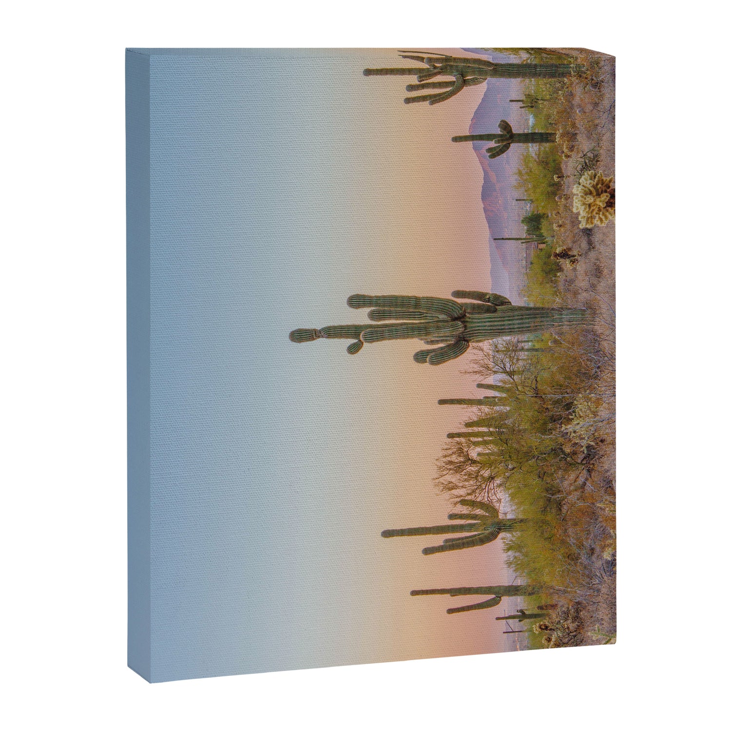 Desert / Scottsdale, Arizona Canvas Print Gallery Image 6