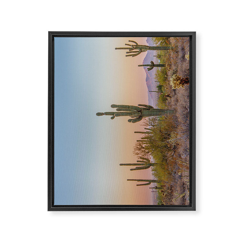 Desert / Scottsdale, Arizona Framed Canvas Print Gallery Image 6