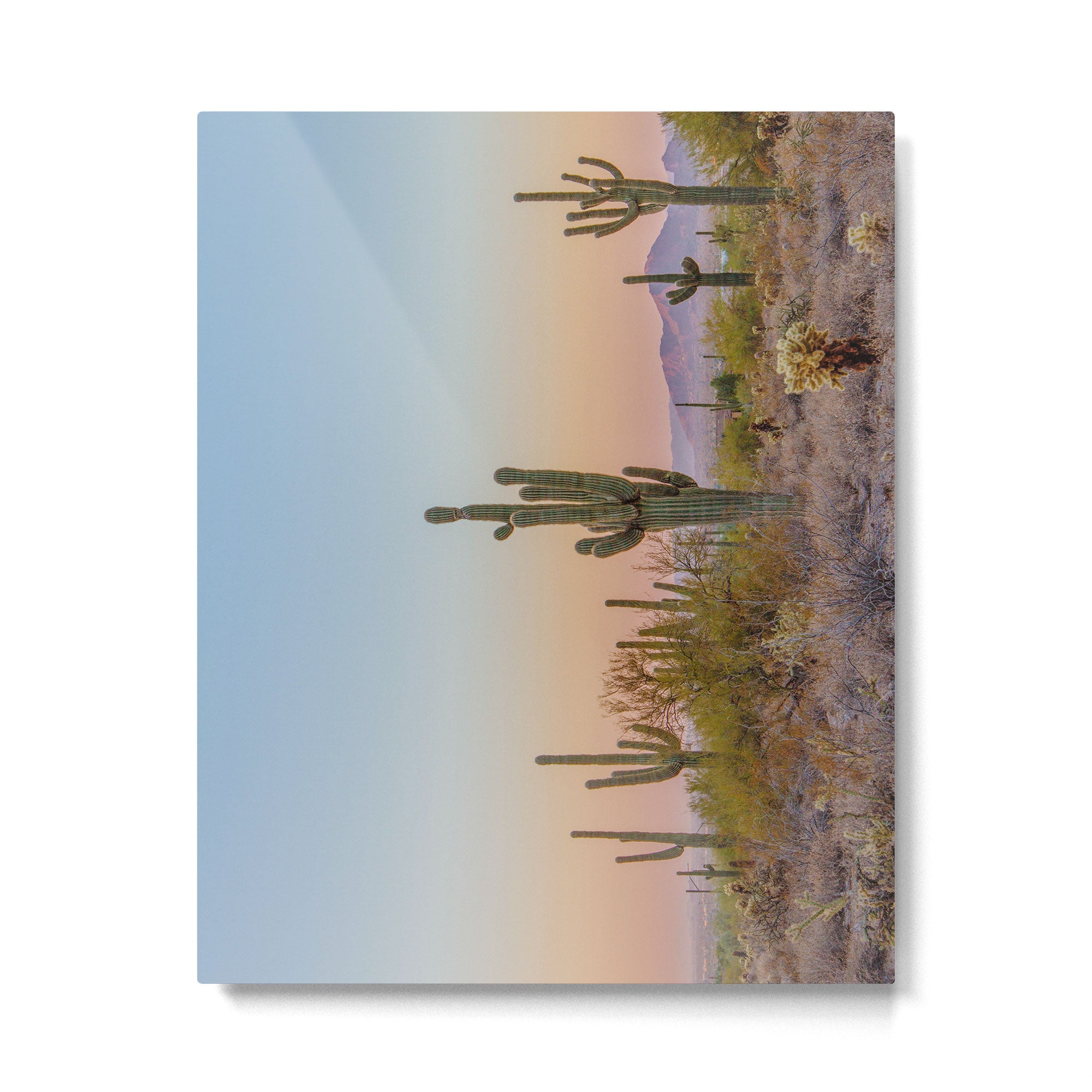 Desert / Scottsdale, Arizona Metal Print Gallery Image 4
