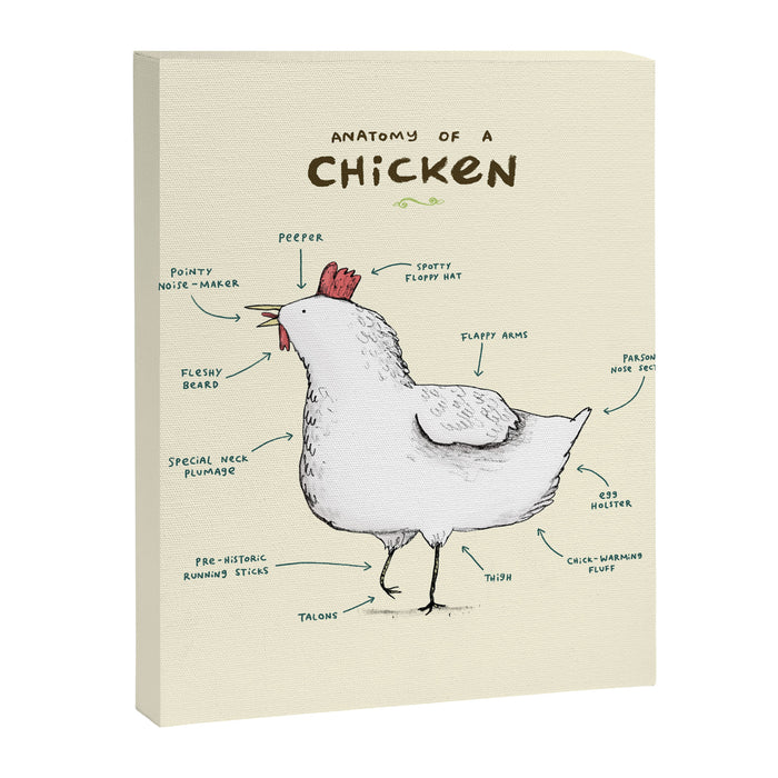 Anatomy of a Chicken Canvas Print Gallery Image 1