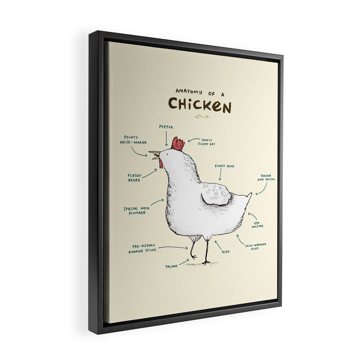 Anatomy of a Chicken Framed Canvas Print Gallery Image 2