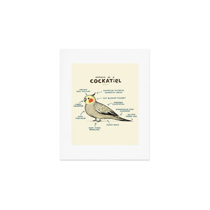 Anatomy of a Cockatiel Art Print Gallery Image 1