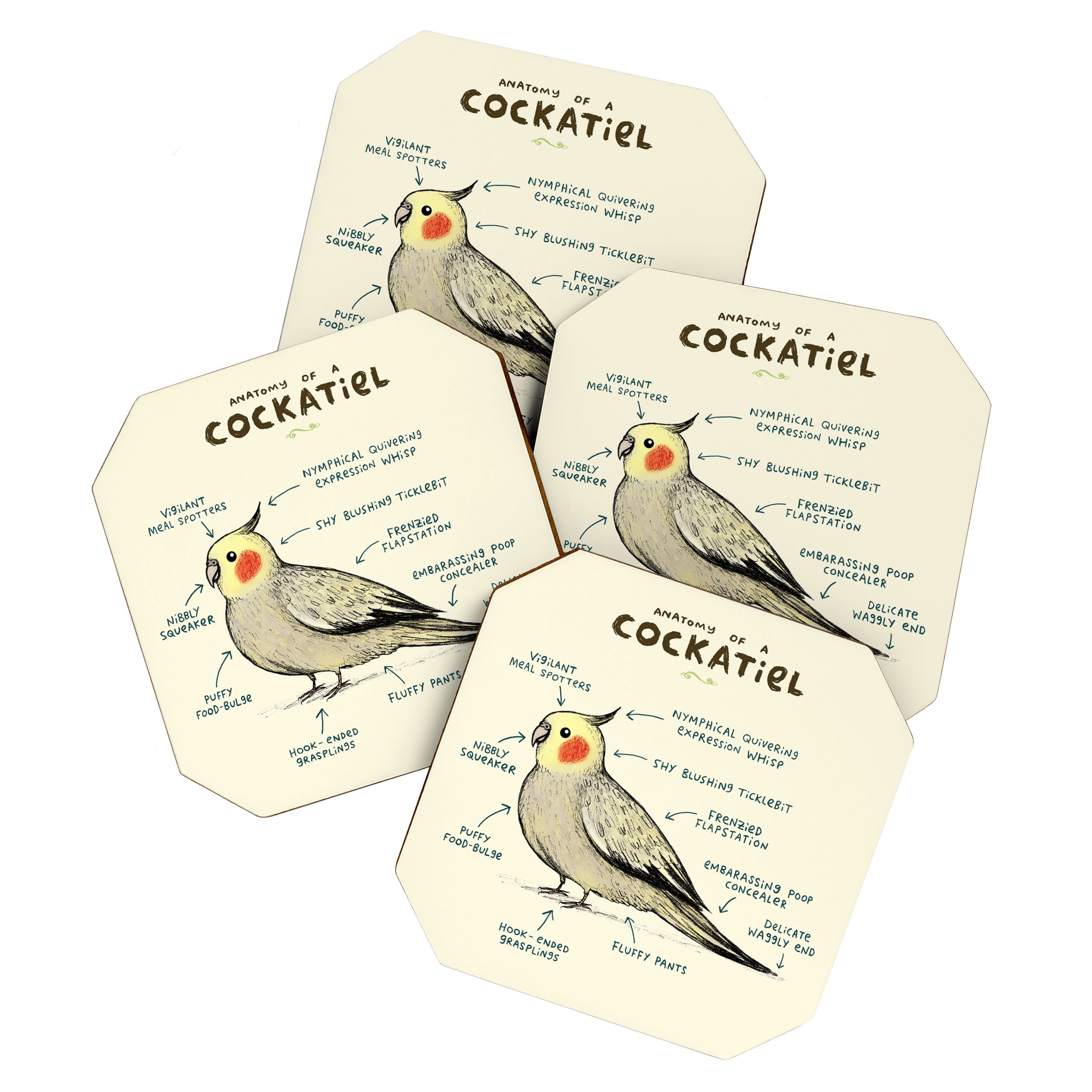 Anatomy of a Cockatiel Coaster Gallery Image 1