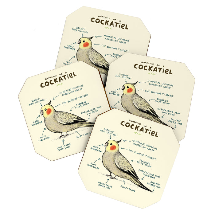 Anatomy of a Cockatiel Coaster Gallery Image 1