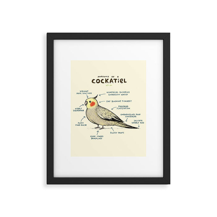Anatomy of a Cockatiel Framed Art Print Gallery Image 1