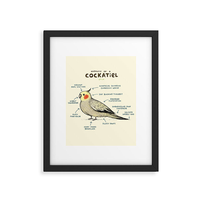 Anatomy of a Cockatiel Framed Art Print Gallery Image 4