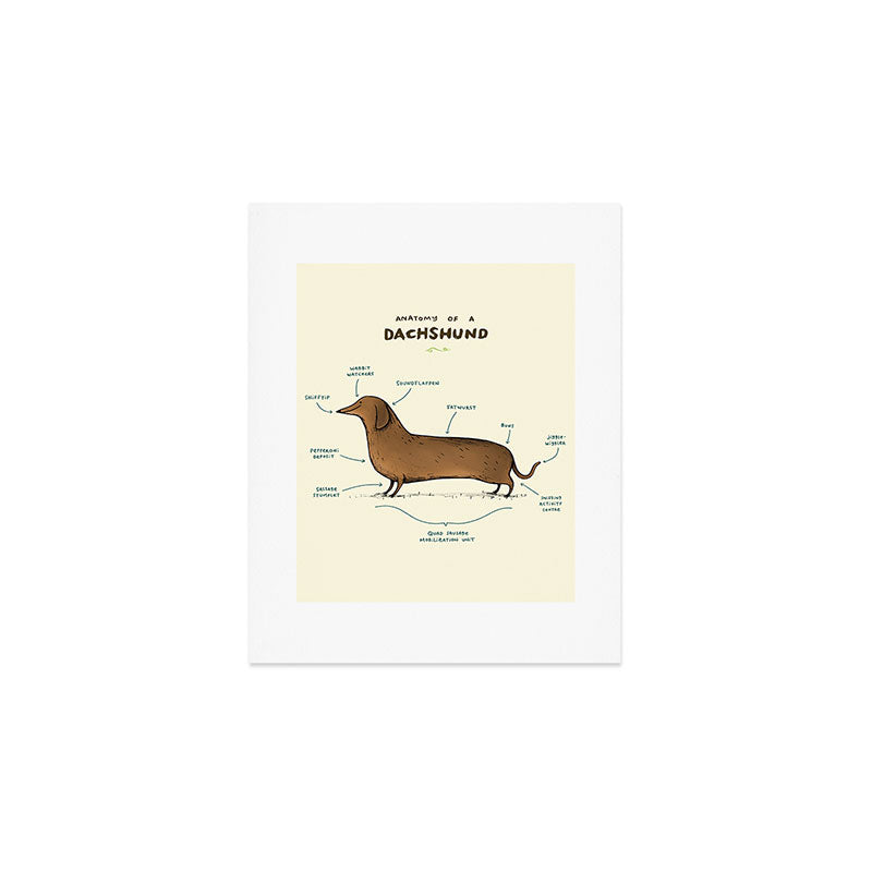 Anatomy of a Dachshund Art Print Gallery Image 1