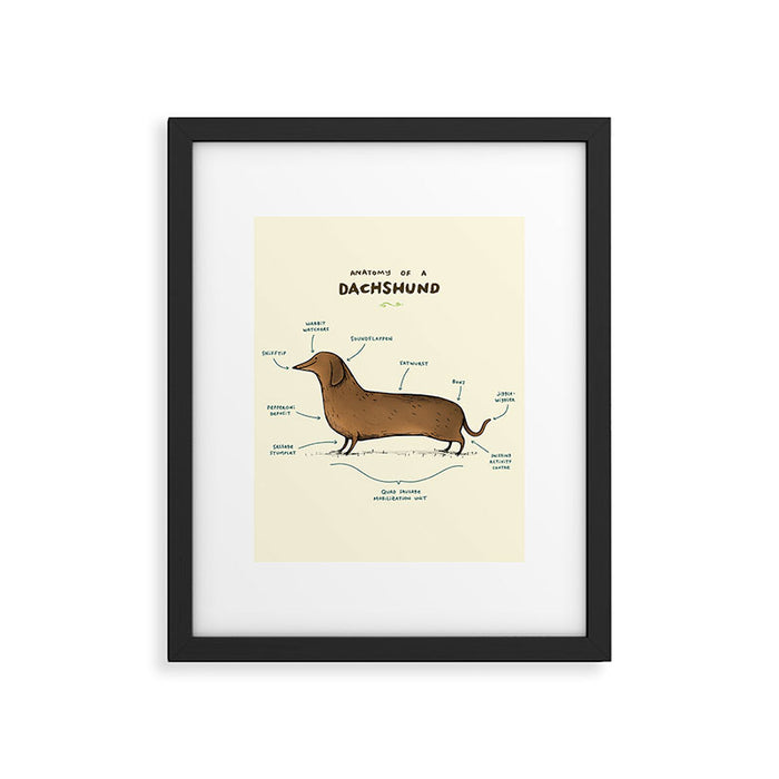 Anatomy of a Dachshund Framed Art Print Gallery Image 1