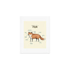 Anatomy of a Fox Art Print Gallery Image 1
