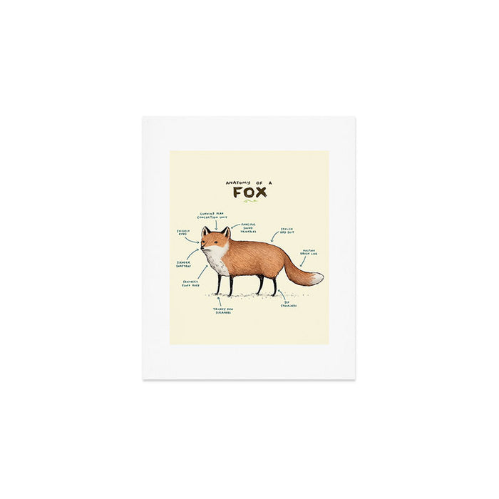 Anatomy of a Fox Art Print Gallery Image 1