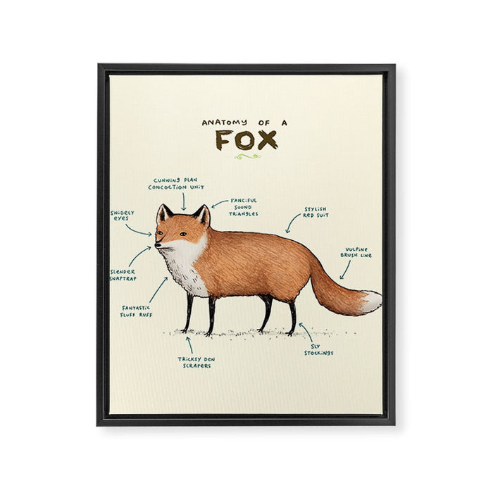 Anatomy of a Fox Framed Canvas Print Gallery Image 1