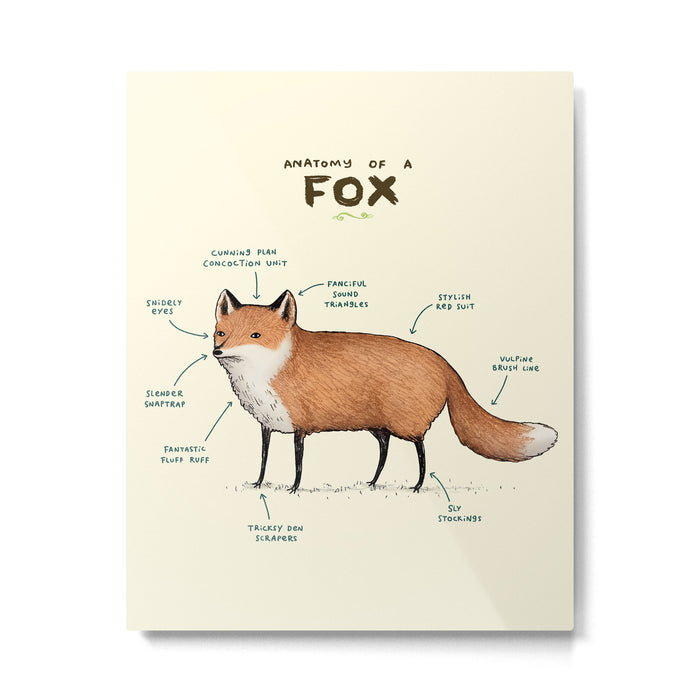 Anatomy of a Fox Metal Print Gallery Image 1