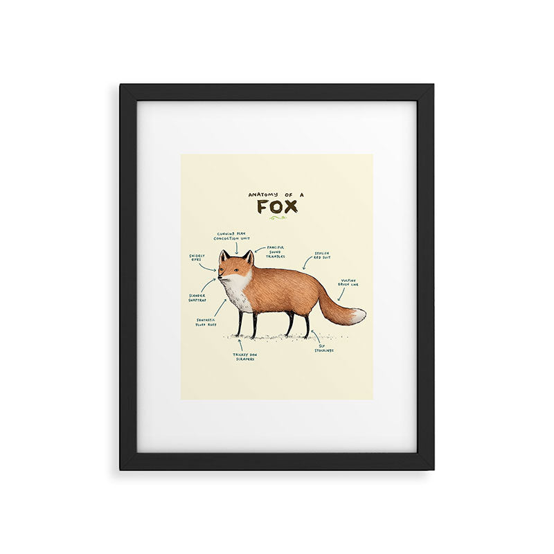 Anatomy of a Fox Framed Art Print Gallery Image 4