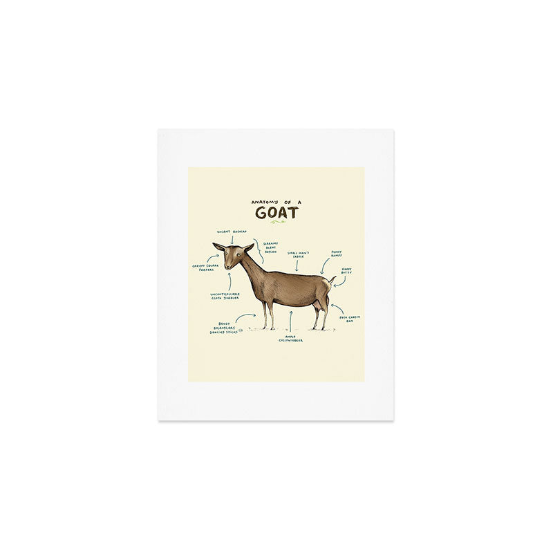 Anatomy of a Goat Art Print Gallery Image 1
