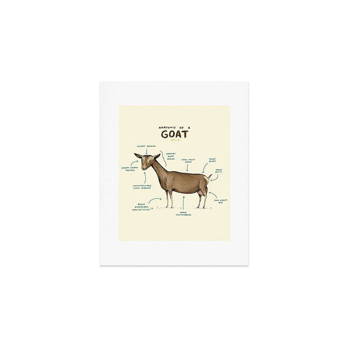 Anatomy of a Goat Art Print Gallery Image 1