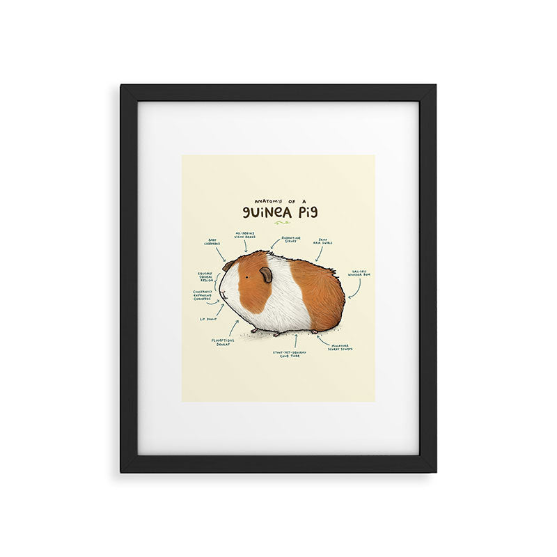 Anatomy of a Guinea Pig Framed Art Print Gallery Image 4