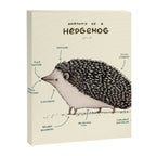 Anatomy of a Hedgehog Canvas Print Gallery Image 8