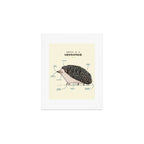 Anatomy of a Hedgehog Art Print Gallery Image 1