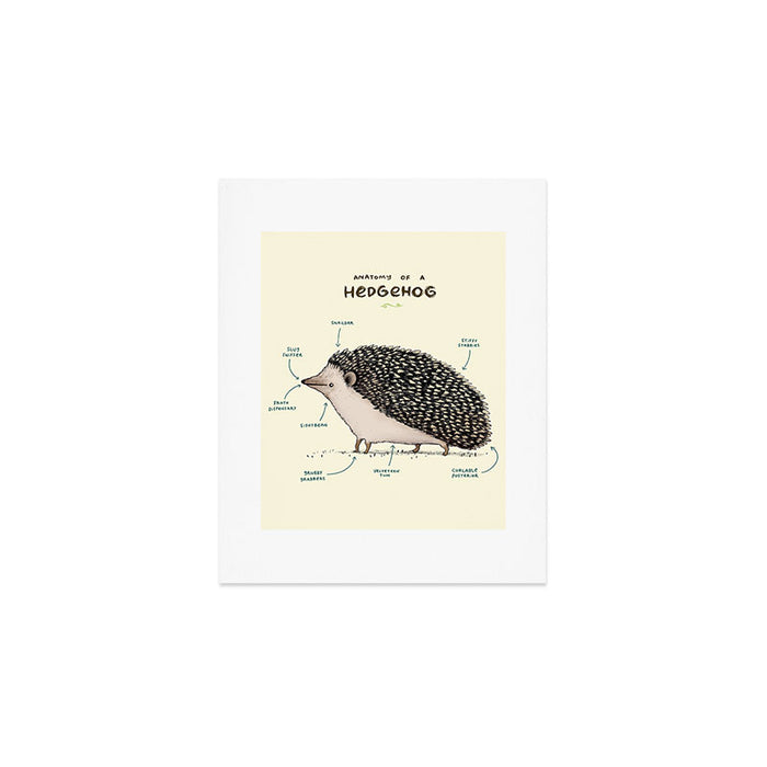 Anatomy of a Hedgehog Art Print Gallery Image 1