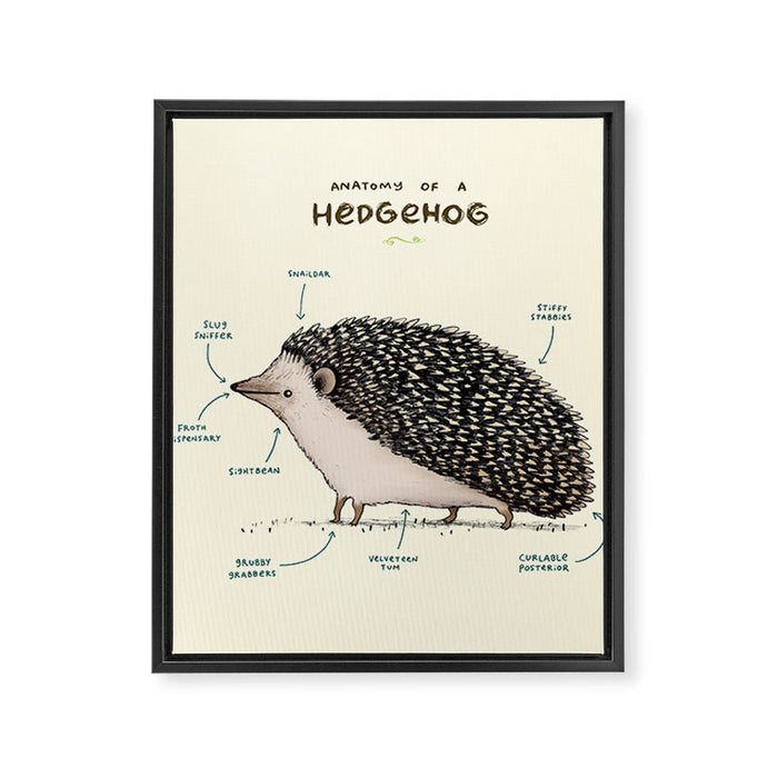 Anatomy of a Hedgehog Framed Canvas Print Gallery Image 1