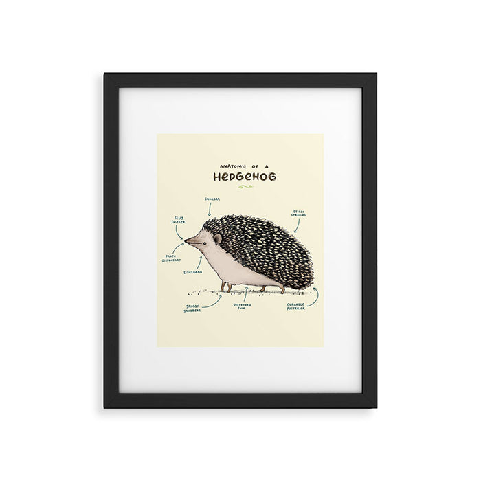 Anatomy of a Hedgehog Framed Art Print Gallery Image 1